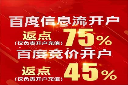 搜索引擎优化（SEM）在移动端的实践案例